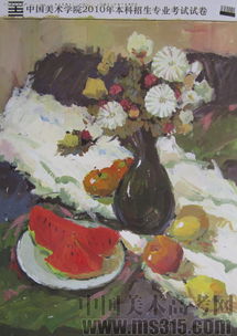 2010年中國(guó)美術(shù)學(xué)院設(shè)計(jì)類(lèi)建筑色彩優(yōu)秀試卷評(píng)析（試卷13）